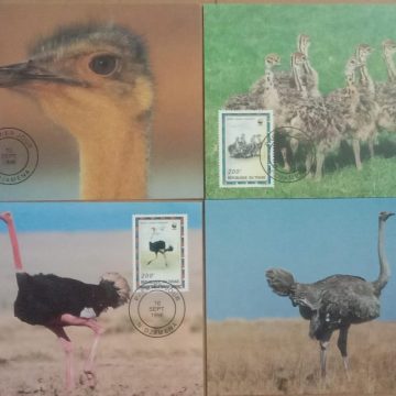 World Wide Fund For Nature  Ostrich Set of 4 (Maxim Card)