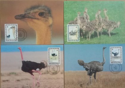 World Wide Fund For Nature  Ostrich Set of 4 (Maxim Card) | Indian Postage Stamps | Indian Coins | Old Indian Currency | Rare Indian Coins | Numismatic Collection India