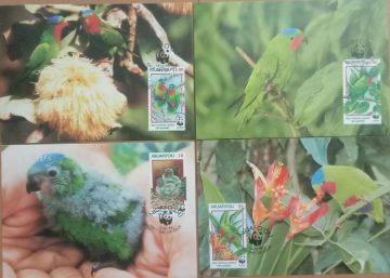 World Wide Fund For Nature Blue -Crowned Lorikeet Set of 4 (Maxim Card)