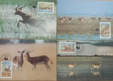 World Wide Fund For Nature Black Lechwe Set of 4 (Maxim Card)