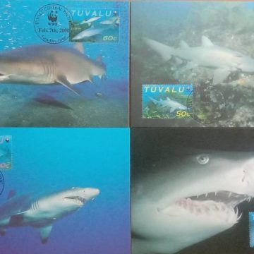 World Wide Fund For Nature  Sand Tiger Shark Set of 4 (Maxim Card)