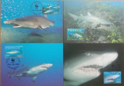 World Wide Fund For Nature  Sand Tiger Shark Set of 4 (Maxim Card) | Indian Postage Stamps | Indian Coins | Old Indian Currency | Rare Indian Coins | Numismatic Collection India