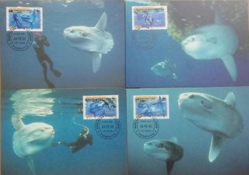 World Wide Fund For Nature Ocean Sunfish Set of 4 (Maxim Card)