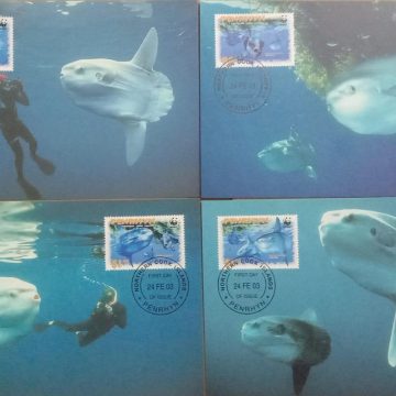 World Wide Fund For Nature  Ocean Sunfish Set of 4 (Maxim Card)