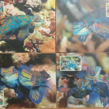 World Wide Fund For Nature Mandarinfish  Set of 4 (Maxim Card)