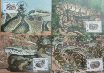 World Wide Fund For Nature African Rock Python Set of 4 (Maxim Card)