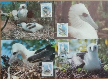 World Wide Fund For Nature Abbott's Booby Set of 4 (Maxim Card)