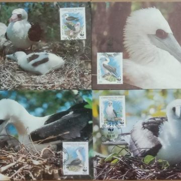 World Wide Fund For Nature  Abbott's Booby Set of 4 (Maxim Card)