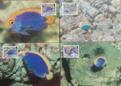 World Wide Fund For Nature Resplendent Angelfish   Set of 4 (Maxim Card) | Indian Postage Stamps | Indian Coins | Old Indian Currency | Rare Indian Coins | Numismatic Collection India
