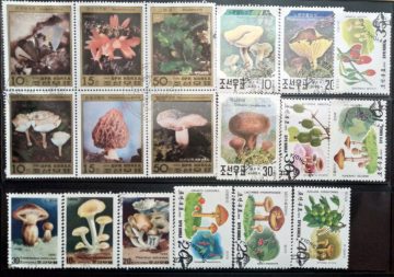 Mushrooms used Stamps of Korea Set of 18 (Foreign Stamp)