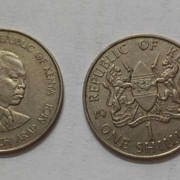 KENYA 1 SHILLING 1980 (used)