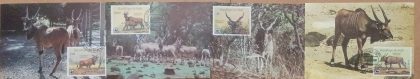WWF -Western Giant Eland-Republique Mali Set of 4 Maximum cards | Indian Postage Stamps | Indian Coins | Old Indian Currency | Rare Indian Coins | Numismatic Collection India