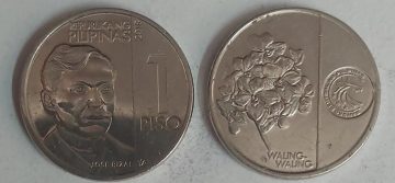 Philippines  1 PISO 2018 Coin(used)