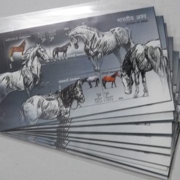 Horses of India-Indian Miniature Sheets-10nos