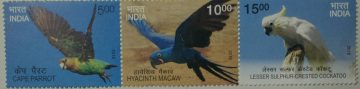 Exotic Birds (Horizontal Strip of 3) (Indian Se-Tenants)