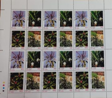 Medicine Plants (Indian Se-Tenants FULLSHEET )