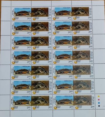 Turtles (Indian Se-Tenants FULLSHEET )