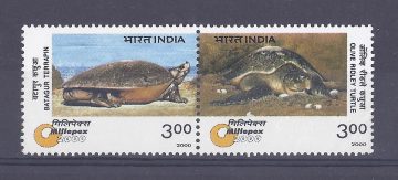 Turtles (Indian Se-Tenants)