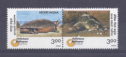 Turtles (Indian Setenants) | Indian Postage Stamps | Indian Coins | Old Indian Currency | Rare Indian Coins | Numismatic Collection India