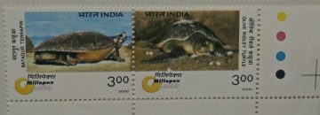 Turtles (Se-Tenant TL)