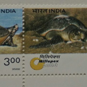 Turtles (Se-Tenant TL)