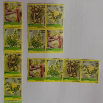 Medicine Plants set of 3 (Indian Se-Tenants)