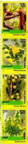 Medicine Plants (Vertical strip) (Indian Se-Tenants)