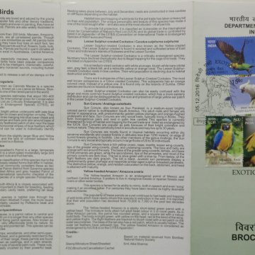 Exotic Birds (Set of 6) (SBR)