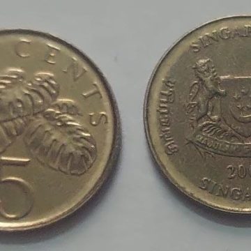 Singapore 5 Cent Coin2000 (used)