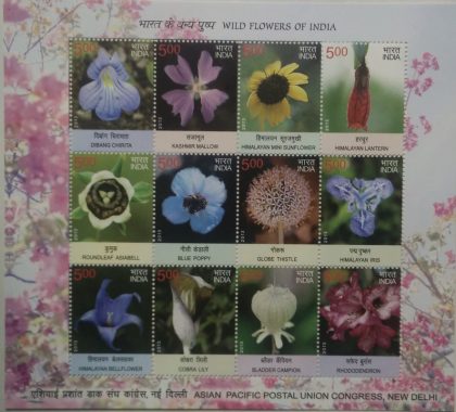 Wild Flower  (Sheetlets) | Indian Postage Stamps | Indian Coins | Old Indian Currency | Rare Indian Coins | Numismatic Collection India