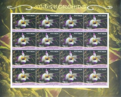 Dendrobium falconeri Orchids (Sheetlets) | Indian Postage Stamps | Indian Coins | Old Indian Currency | Rare Indian Coins | Numismatic Collection India