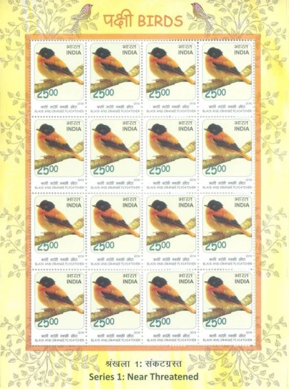 Black & Orange Flycatcher Birds : Near Threatned (Sheetlets) | Indian Postage Stamps | Indian Coins | Old Indian Currency | Rare Indian Coins | Numismatic Collection India