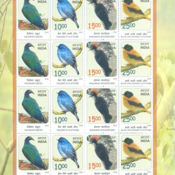 Birds : Near Threatned (Sheetlets)