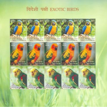 Exotic Birds (Sheetlets)