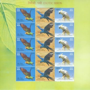 Exotic Birds (Sheetlets)