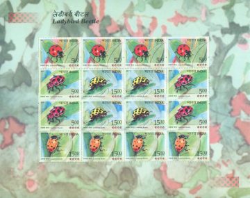 Ladybird Beetle (Sheetlets)