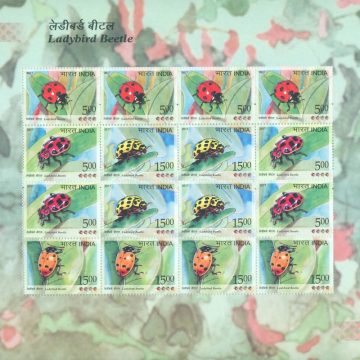 Ladybird Beetle (Sheetlets)