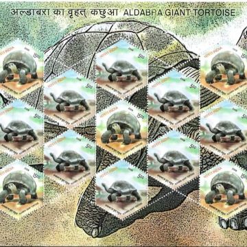 Aldabra Giant Tortoise (Sheetlets)