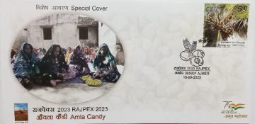 Amala Candy (Special Cover)