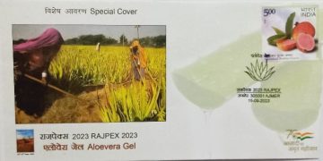 Aloevera Gel (Special Cover)