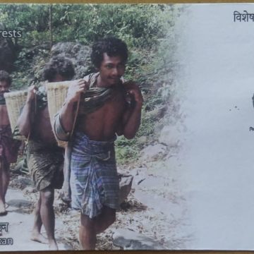 International Day of Forests (Special Cover)