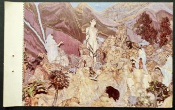 Veeraytan Rajgir Maxi Cards