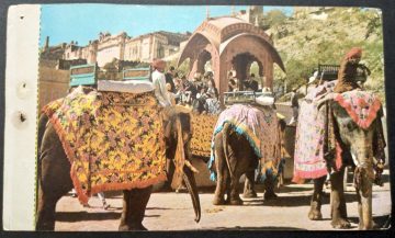 Elephant Ride Maxi Cards