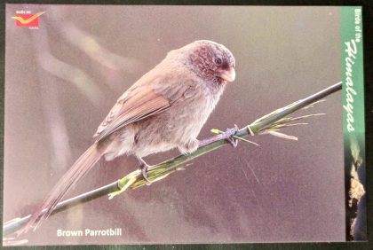 Bird of Himalayas-Brown Parrotbill Maxi Cards | Indian Postage Stamps | Indian Coins | Old Indian Currency | Rare Indian Coins | Numismatic Collection India