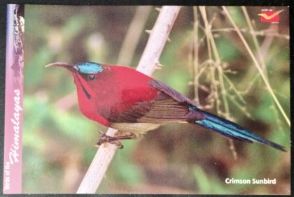 Bird of Himalayas-Crimson Sunbird Maxi Cards | Indian Postage Stamps | Indian Coins | Old Indian Currency | Rare Indian Coins | Numismatic Collection India