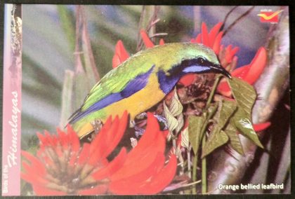 Bird of Himalayas-Orange bellied leafbird Maxi Cards | Indian Postage Stamps | Indian Coins | Old Indian Currency | Rare Indian Coins | Numismatic Collection India