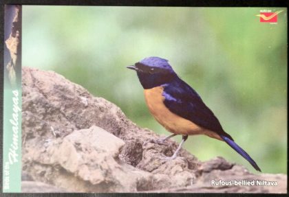Bird of Himalayas-Rufous bellied Niltava Maxi Cards | Indian Postage Stamps | Indian Coins | Old Indian Currency | Rare Indian Coins | Numismatic Collection India