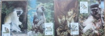 WWF -Green Monkeys -ST.KITTS Set of 4 Maximum Cards