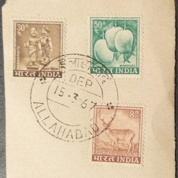 15 Mar.'67. Allahabad (HandiCrafts) (mangoes) (Chittal) (Definitive Special Cancellation) 1st Day Cancellation