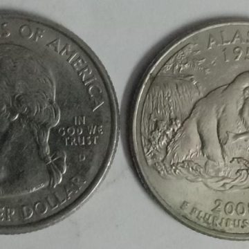 United States Quarter Dollar Alaska State 1 Coin (# 49/50) Used